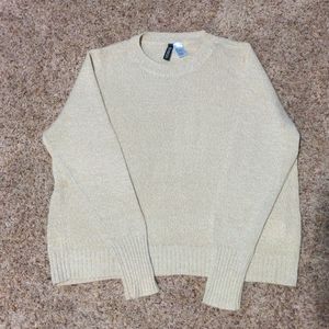 H&M Knit Beige Crop Sweater